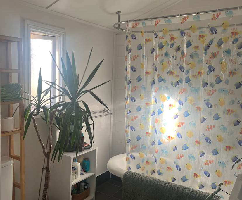 Unfurnished room in a share house