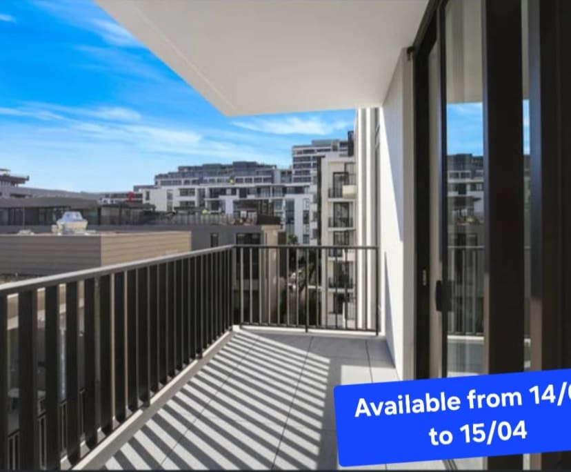 $795, 1-bed, 1 bathroom, Waterloo NSW 2017