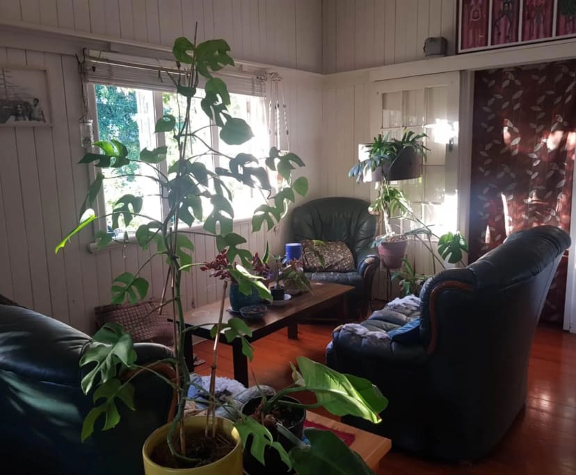Room in a share house