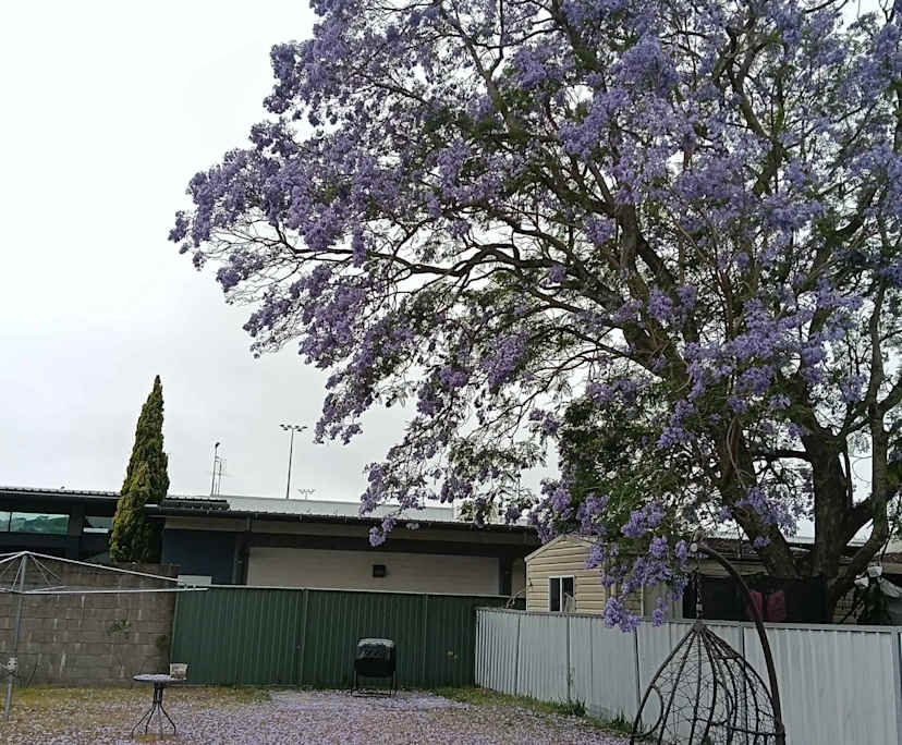 $250, Share-house, 3 bathrooms, Mayfield NSW 2304