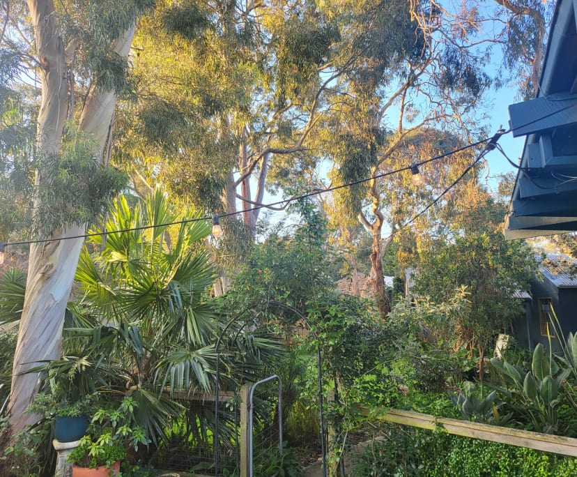 $250, Share-house, 3 bathrooms, Ocean Grove VIC 3226