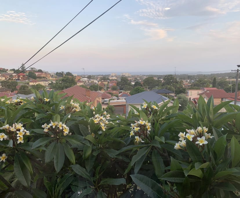 Whole property with 4 rooms for rent