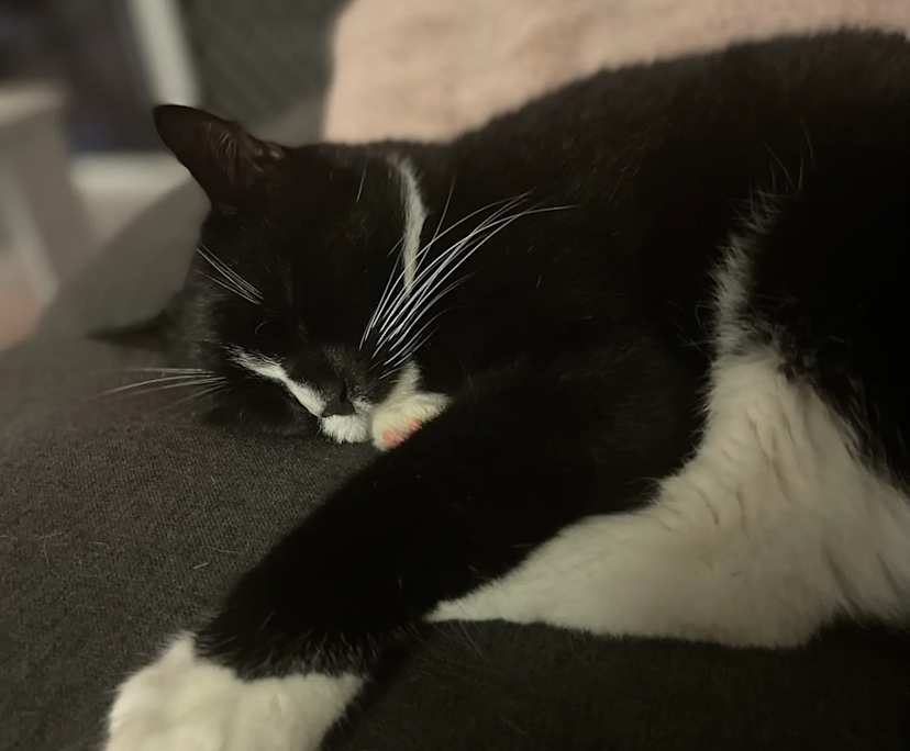 $240, Flatshare, 2 bathrooms, Manunda QLD 4870