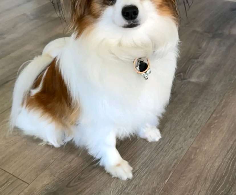 $320, Share-house, 4 bathrooms, Thebarton SA 5031