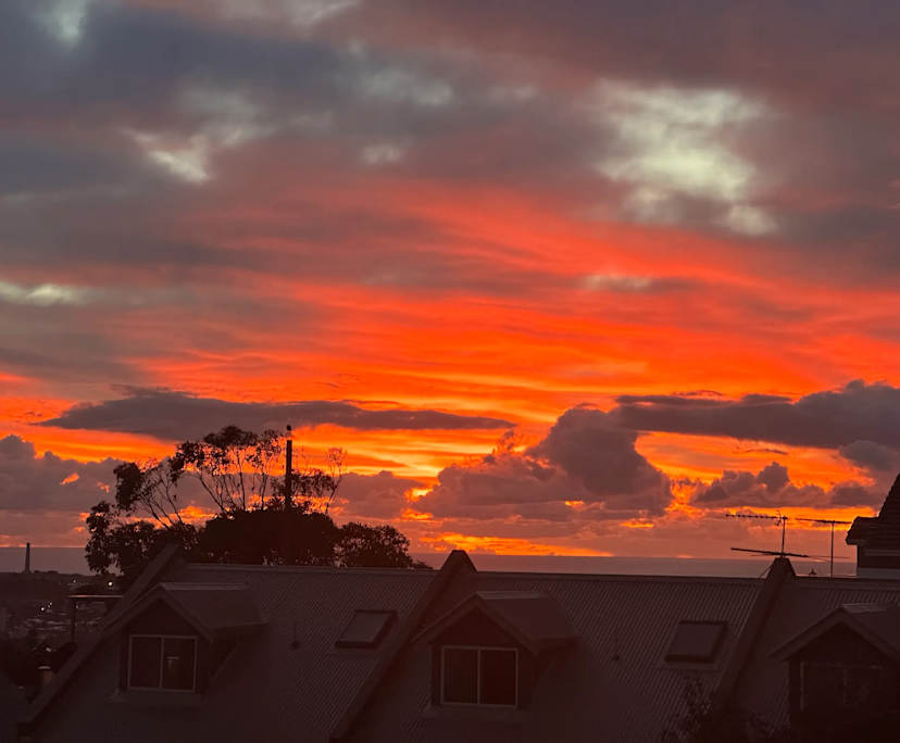 $550, Flatshare, 2 bathrooms, Bondi NSW 2026