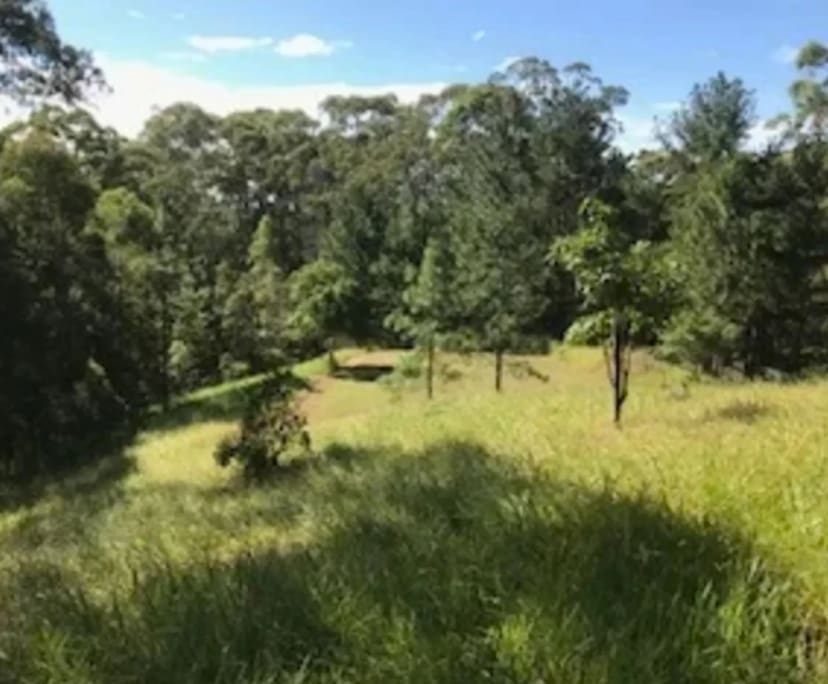 $300, Share-house, 4 bathrooms, Ilkley QLD 4554