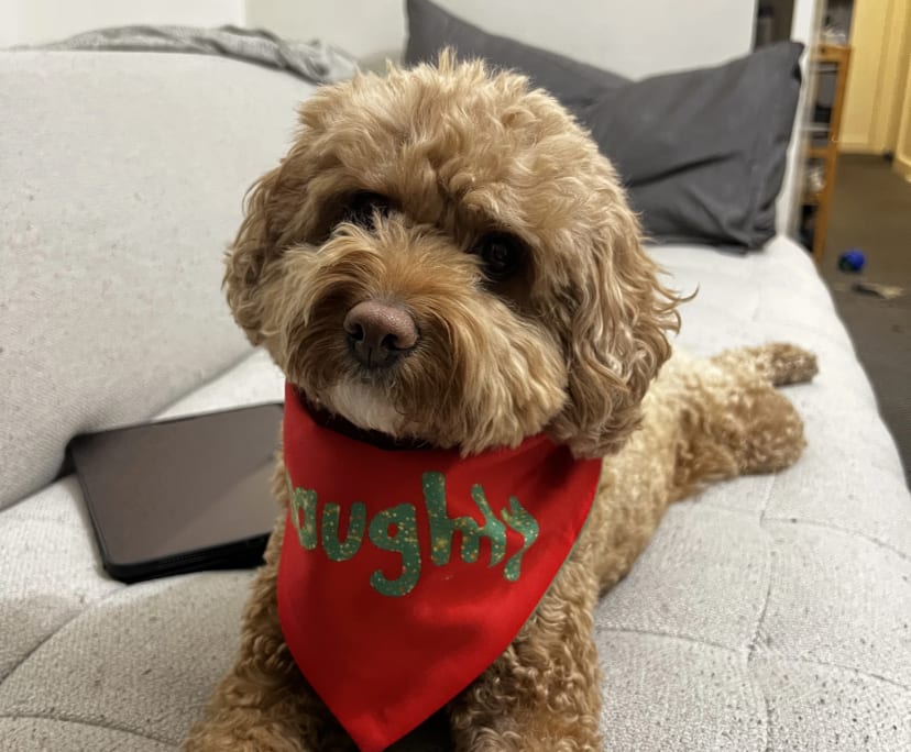 $350, Flatshare, 3 bathrooms, Collingwood VIC 3066