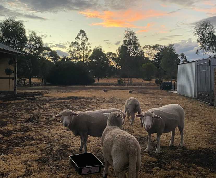 Unfurnished room in a share house
