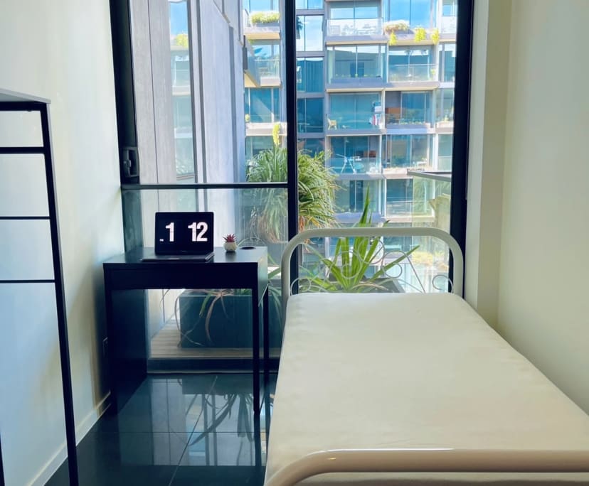 $250, Flatshare, 2 bathrooms, Chippendale NSW 2008