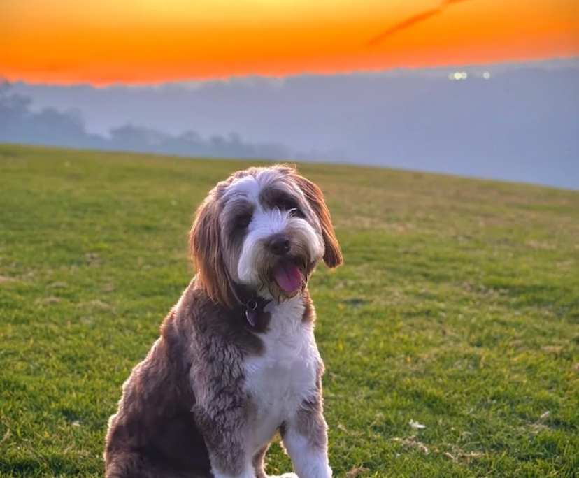 $365, Share-house, 4 bathrooms, Hornsby NSW 2077