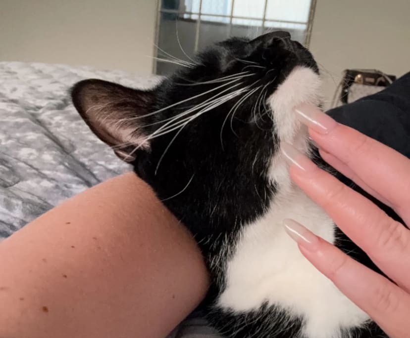 $300, Share-house, 2 rooms, Balcatta WA 6021, Balcatta WA 6021