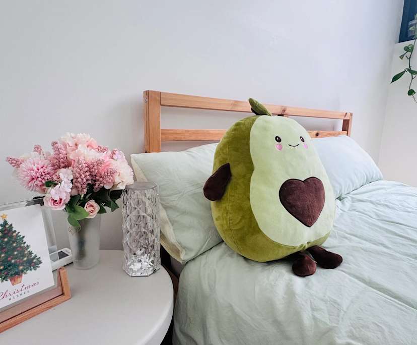 Furnished room with own bathroom