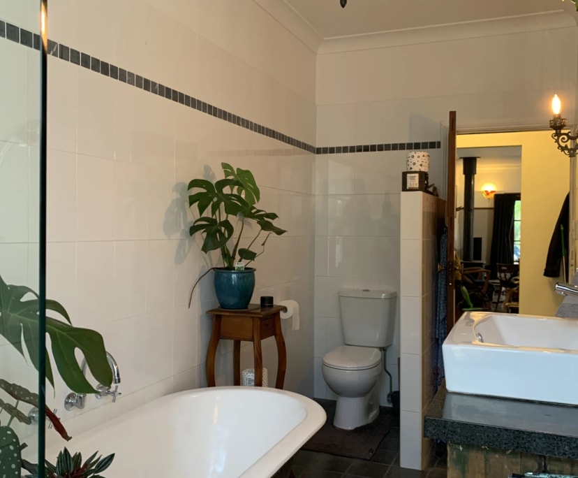 $250, Homestay, 3 bathrooms, Bonny Hills NSW 2445