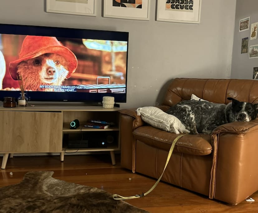 One Bed Flat for Rent in Camperdown, Sydney 375,