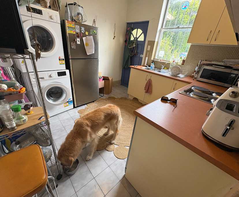 Unfurnished room in a flatshare