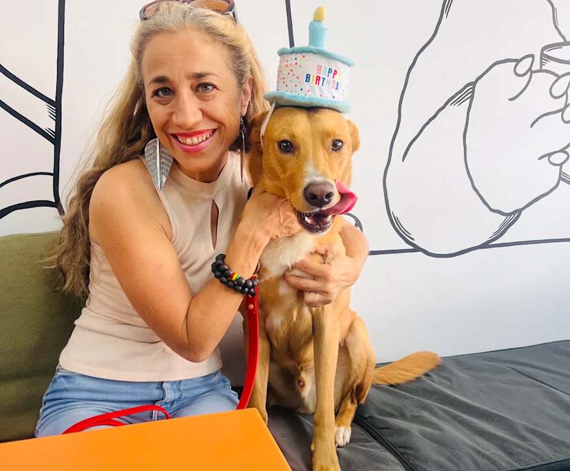 $360, Share-house, 2 bathrooms, Holland Park West QLD 4121