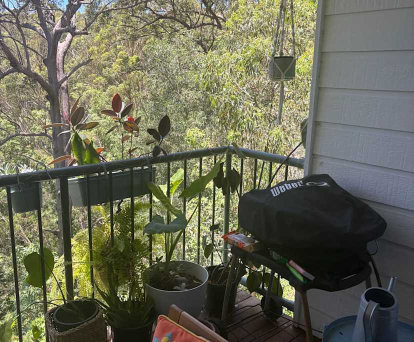 $440, Share-house, 2 bathrooms, Elanora QLD 4221