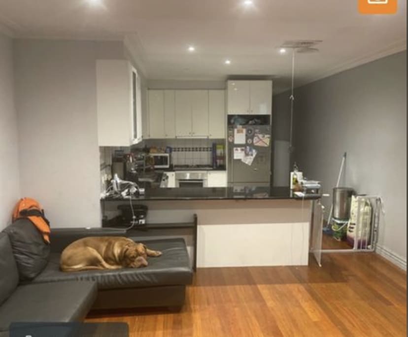 Furnished room with ensuite in a share house