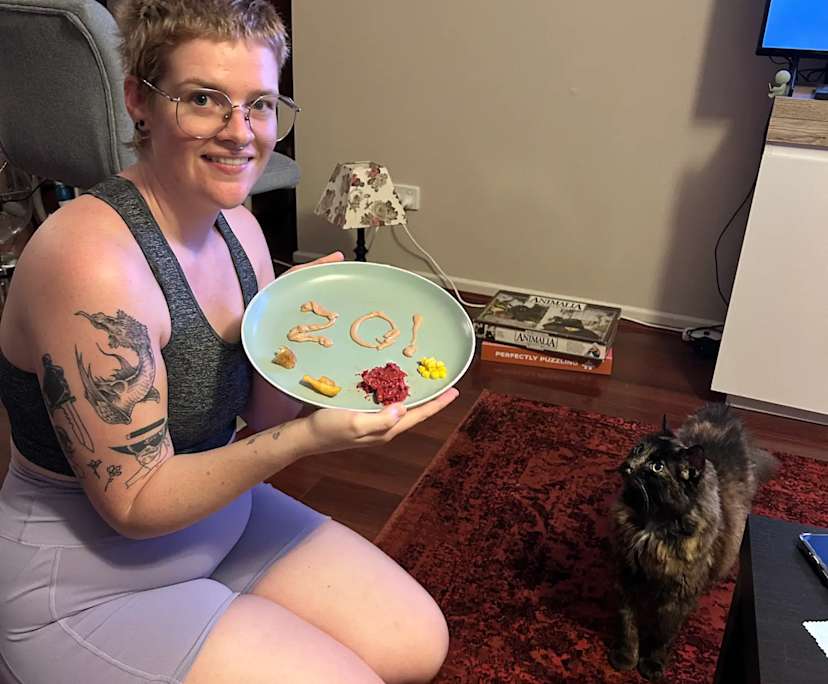 $235-335, Share-house, 2 rooms, Oxley QLD 4075, Oxley QLD 4075