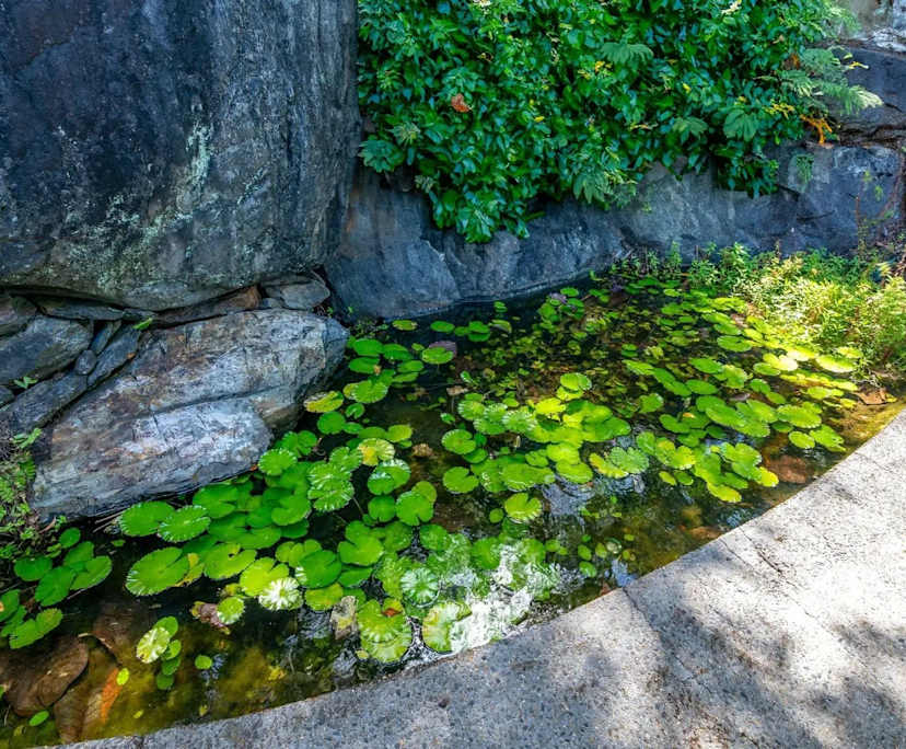 $700, Whole-property, 3 bathrooms, Killaloe QLD 4877