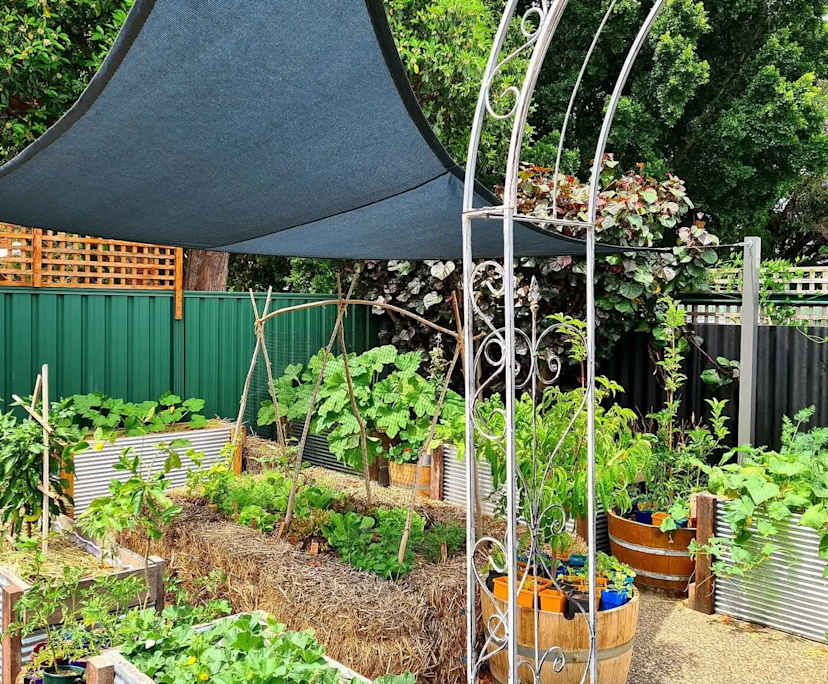 $350, Share-house, 3 bathrooms, Rivervale WA 6103