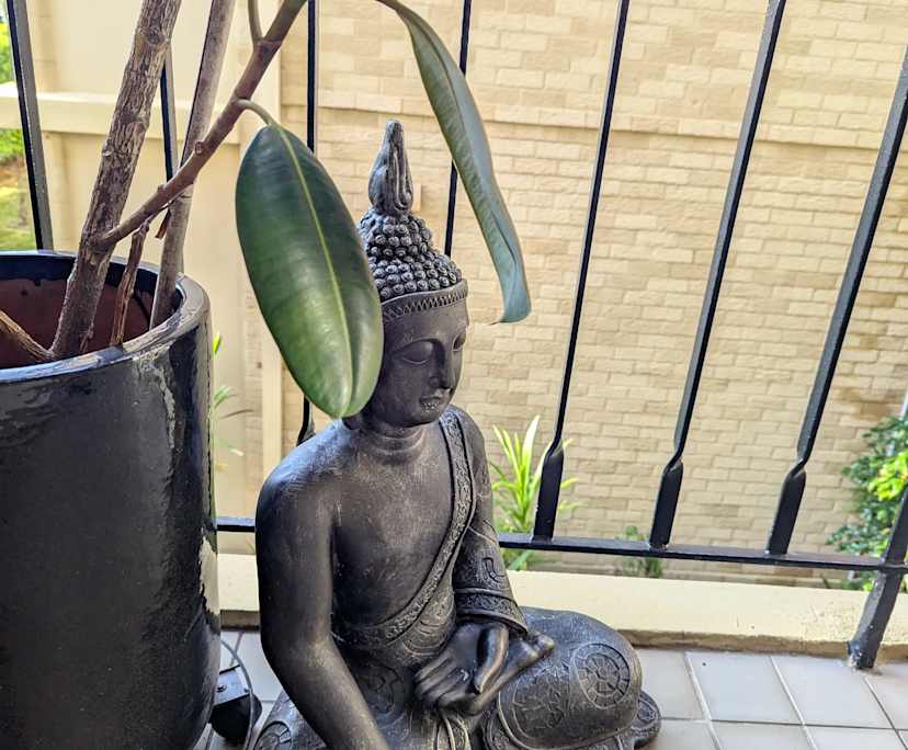 Furnished room in a flatshare