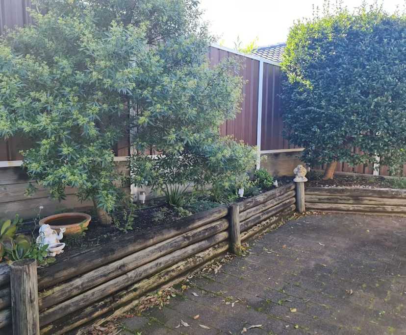 $350, Share-house, 3 bathrooms, Tumbi Umbi NSW 2261