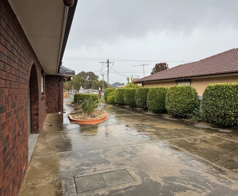 Whole property with 3 rooms for rent