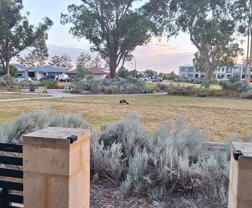 $320-350, Share-house, 2 rooms, Aveley WA 6069, Aveley WA 6069