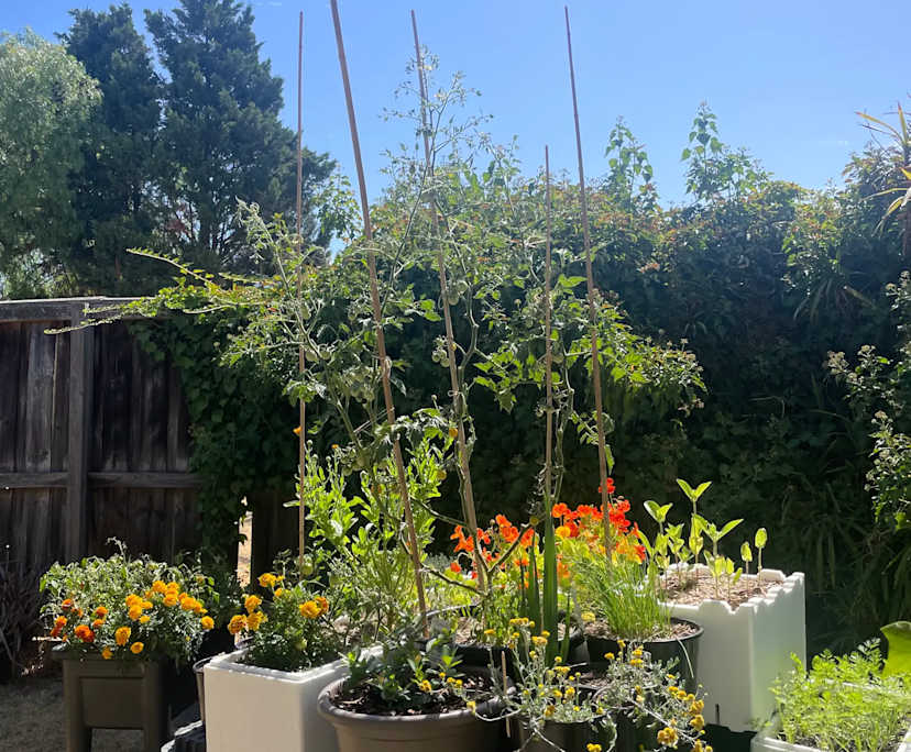 $235, Share-house, 3 bathrooms, Essendon VIC 3040