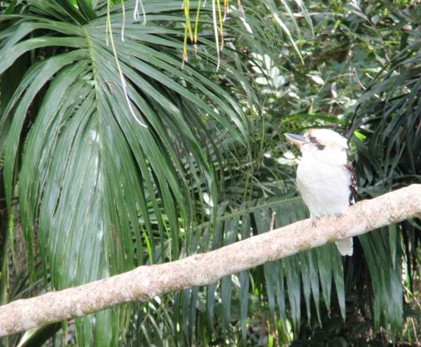 $715, Granny-flat, 1 bathroom, Highgate Hill QLD 4101