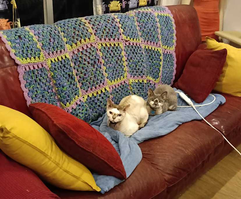 $300, Share-house, 3 bathrooms, Wollongong NSW 2500