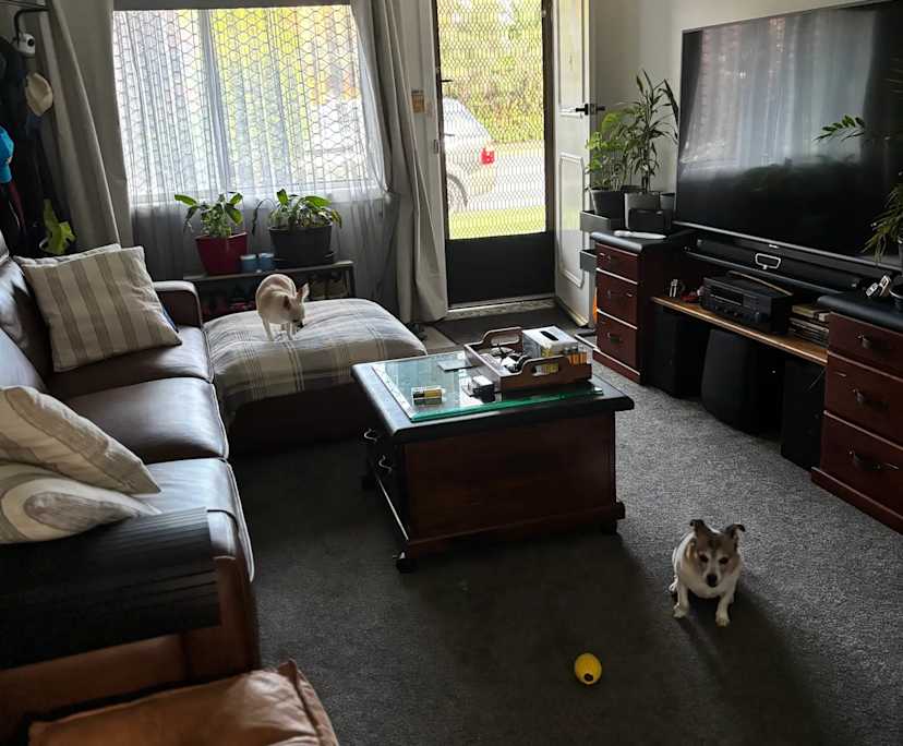 $250, Flatshare, 2 bathrooms, Coffs Harbour NSW 2450