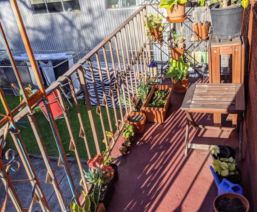 $350, Flatshare, 2 bathrooms, Enmore NSW 2042