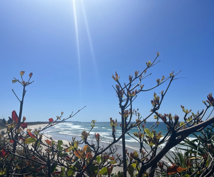 $350, Share-house, 4 bathrooms, Coolum Beach QLD 4573