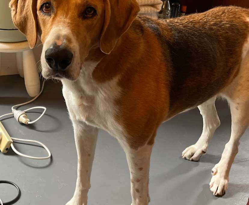 $280, Share-house, 2 bathrooms, Brunswick VIC 3056