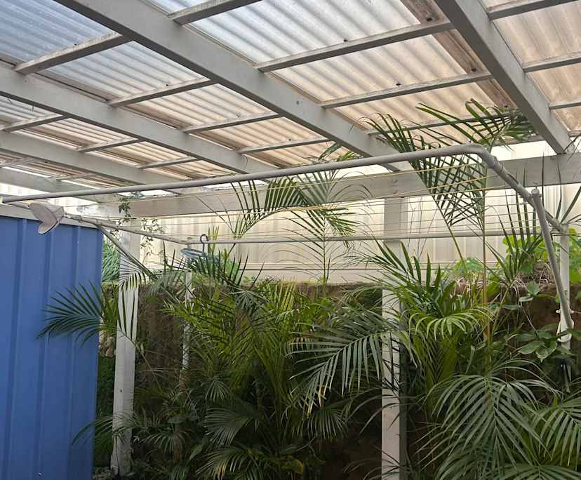 $275, Flatshare, 2 bathrooms, Fremantle WA 6160