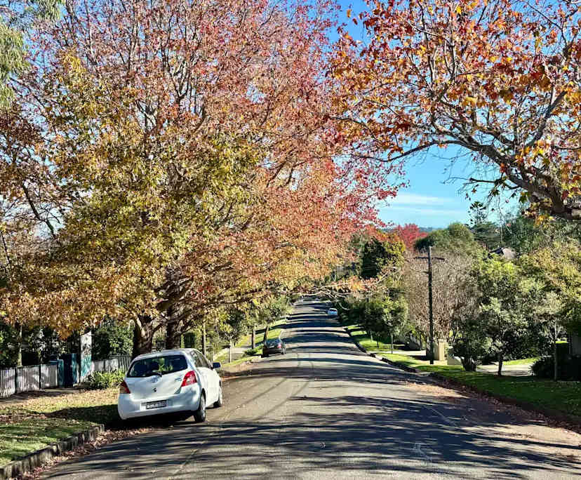 $550, 1-bed, 1 bathroom, Roseville NSW 2069