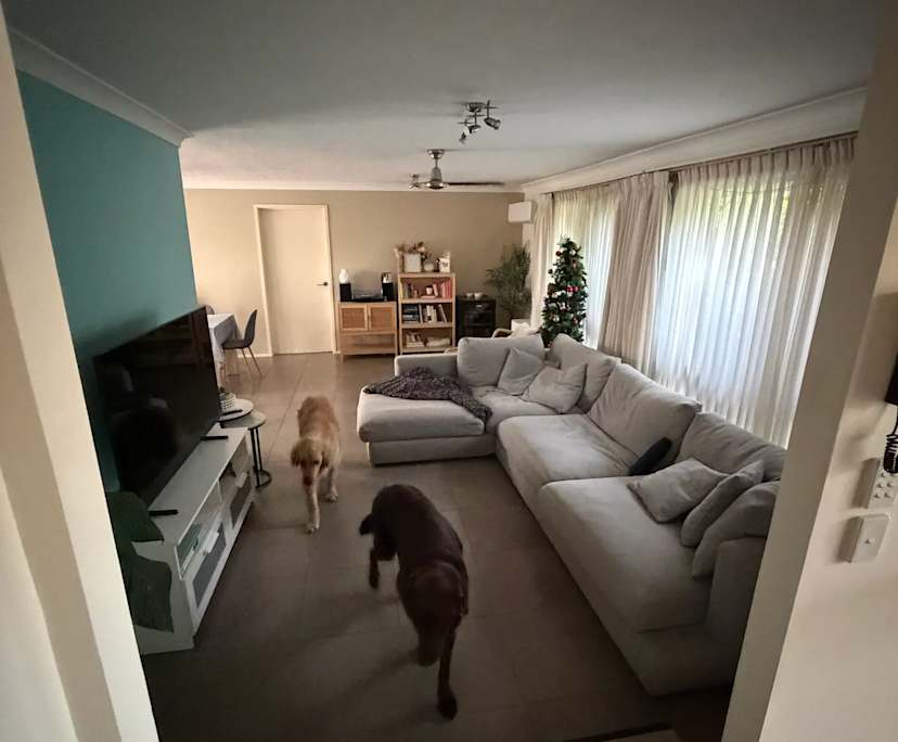 $335, Share-house, 2 rooms, Mermaid Waters QLD 4218, Mermaid Waters QLD 4218