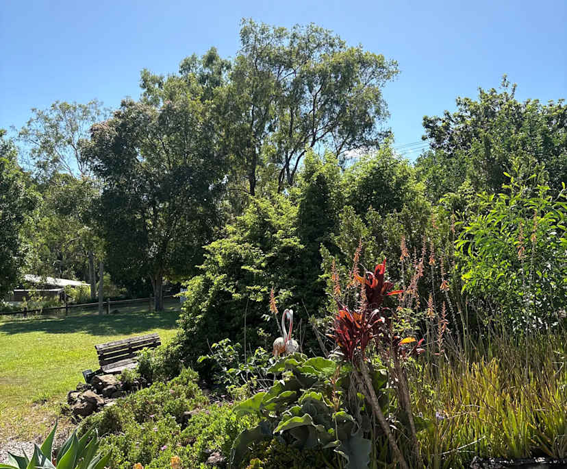 $400, Share-house, 4 bathrooms, Tallai QLD 4213