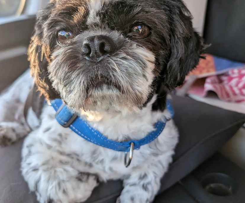 $300, Share-house, 4 bathrooms, Tweed Heads South NSW 2486