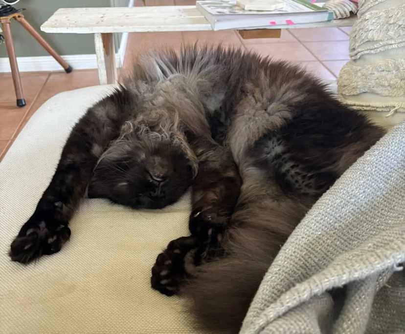 $300, Whole-property, 2 bathrooms, Eagleby QLD 4207