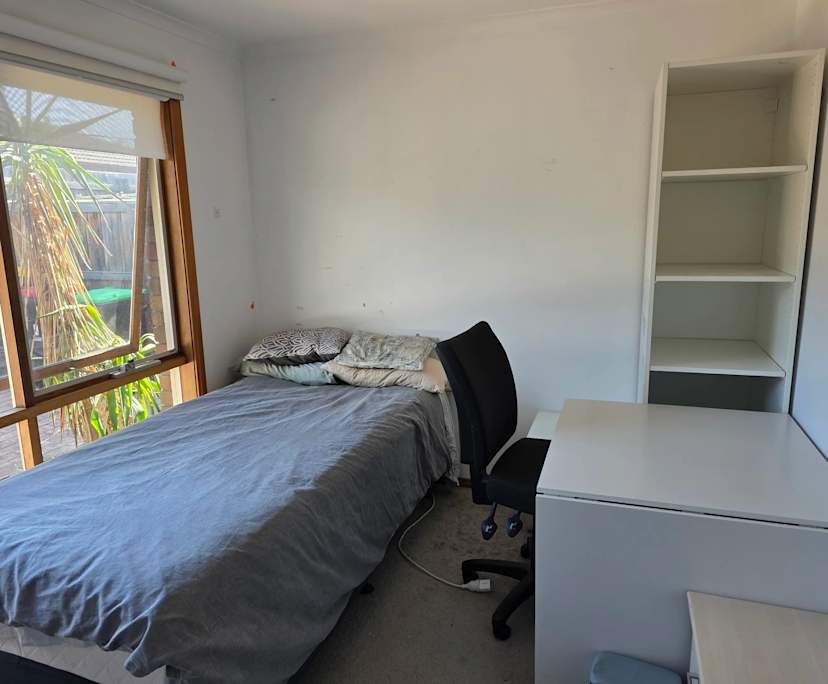 Room in a share house