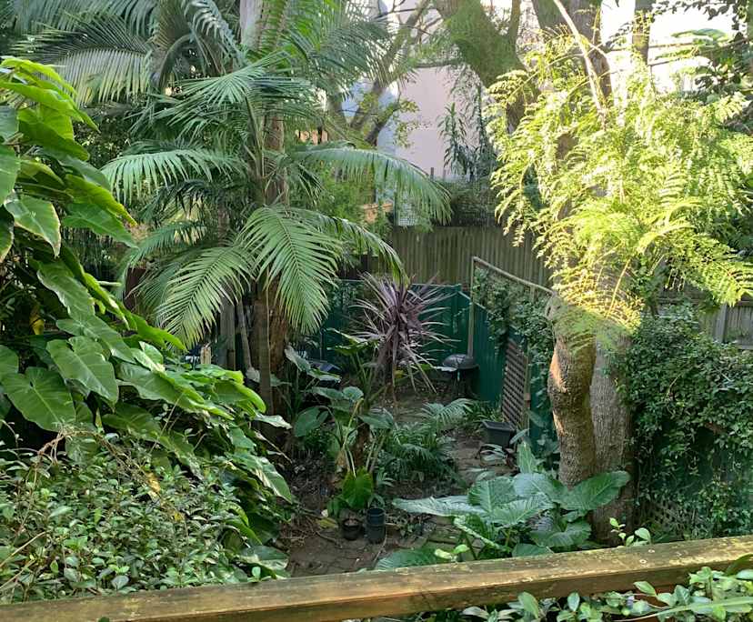 $430, Share-house, 2 bathrooms, Annandale NSW 2038