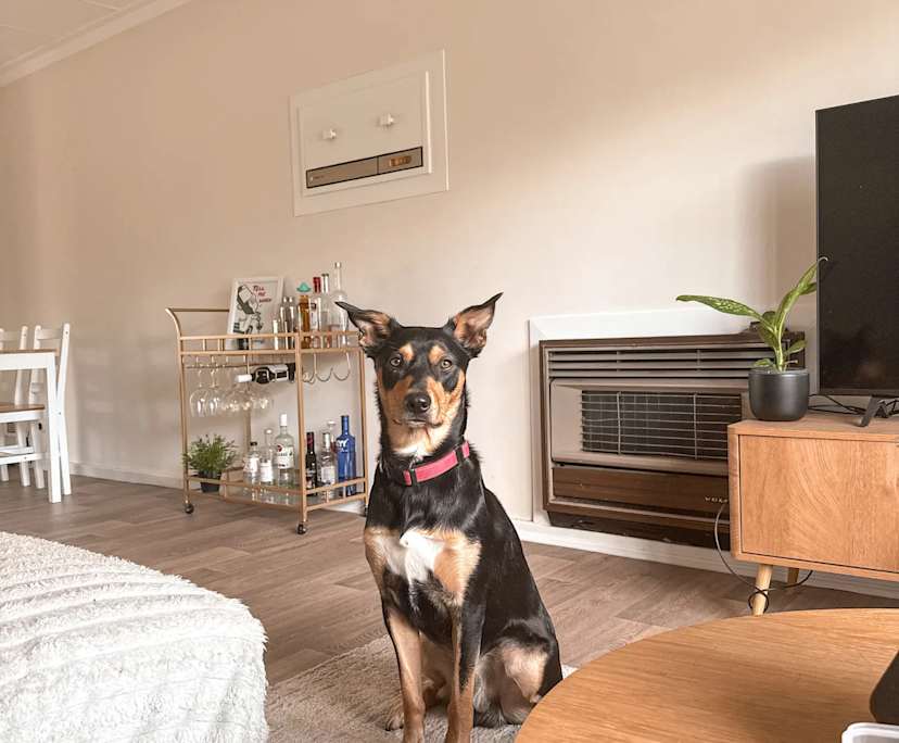 Unfurnished room in a share house