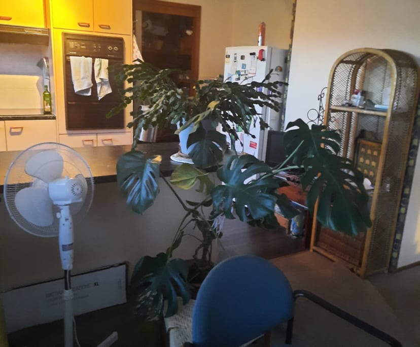 $250, Share-house, 3 bathrooms, Belconnen ACT 2617