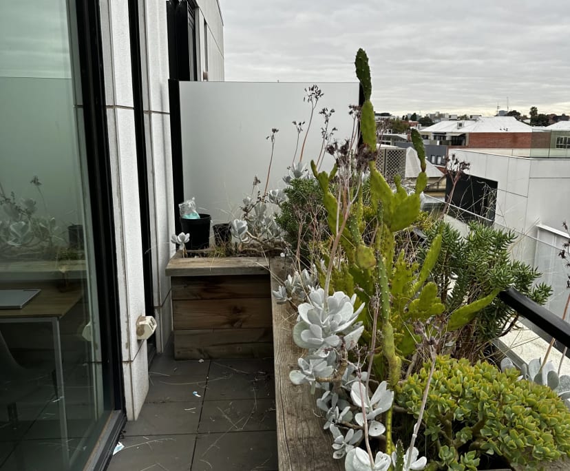 $320, Flatshare, 2 bathrooms, Carlton North VIC 3003