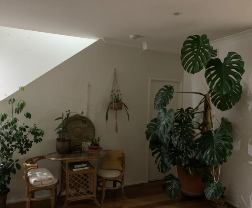 propertyImage