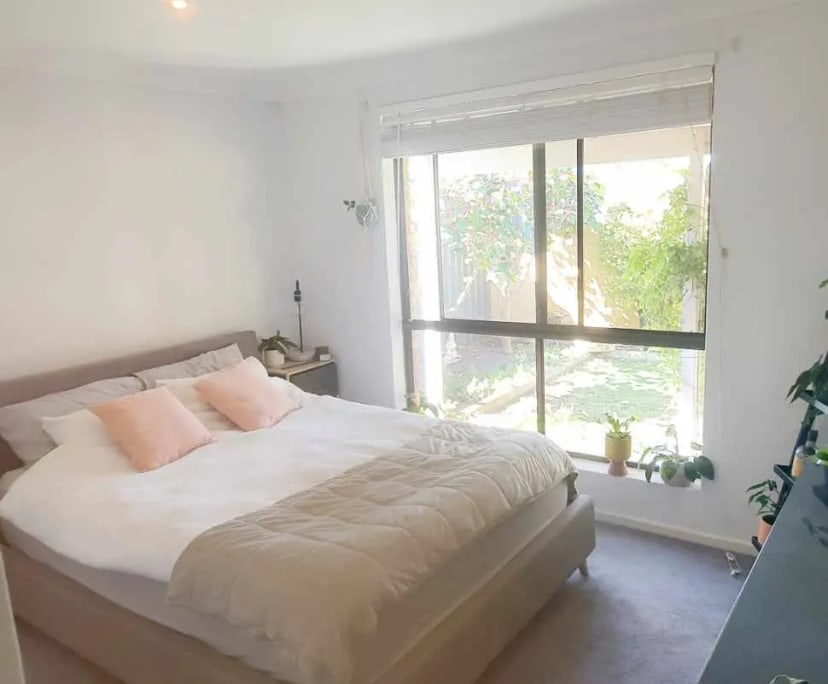 Room for Rent in West Busselton, WA 270, Furnishe...