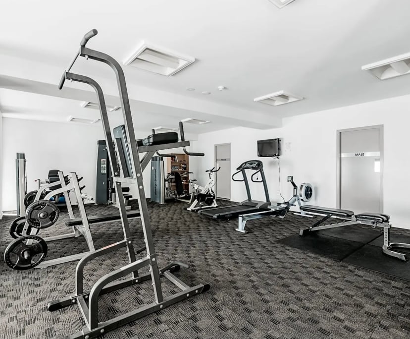 $500, Share-house, 3 bathrooms, Robina QLD 4226